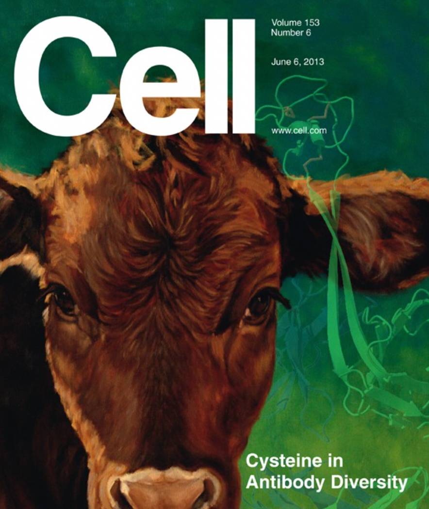 Origins: The Pillars of Understanding Ageing